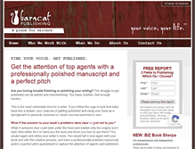 Tablet Screenshot of barncatpublishing.com